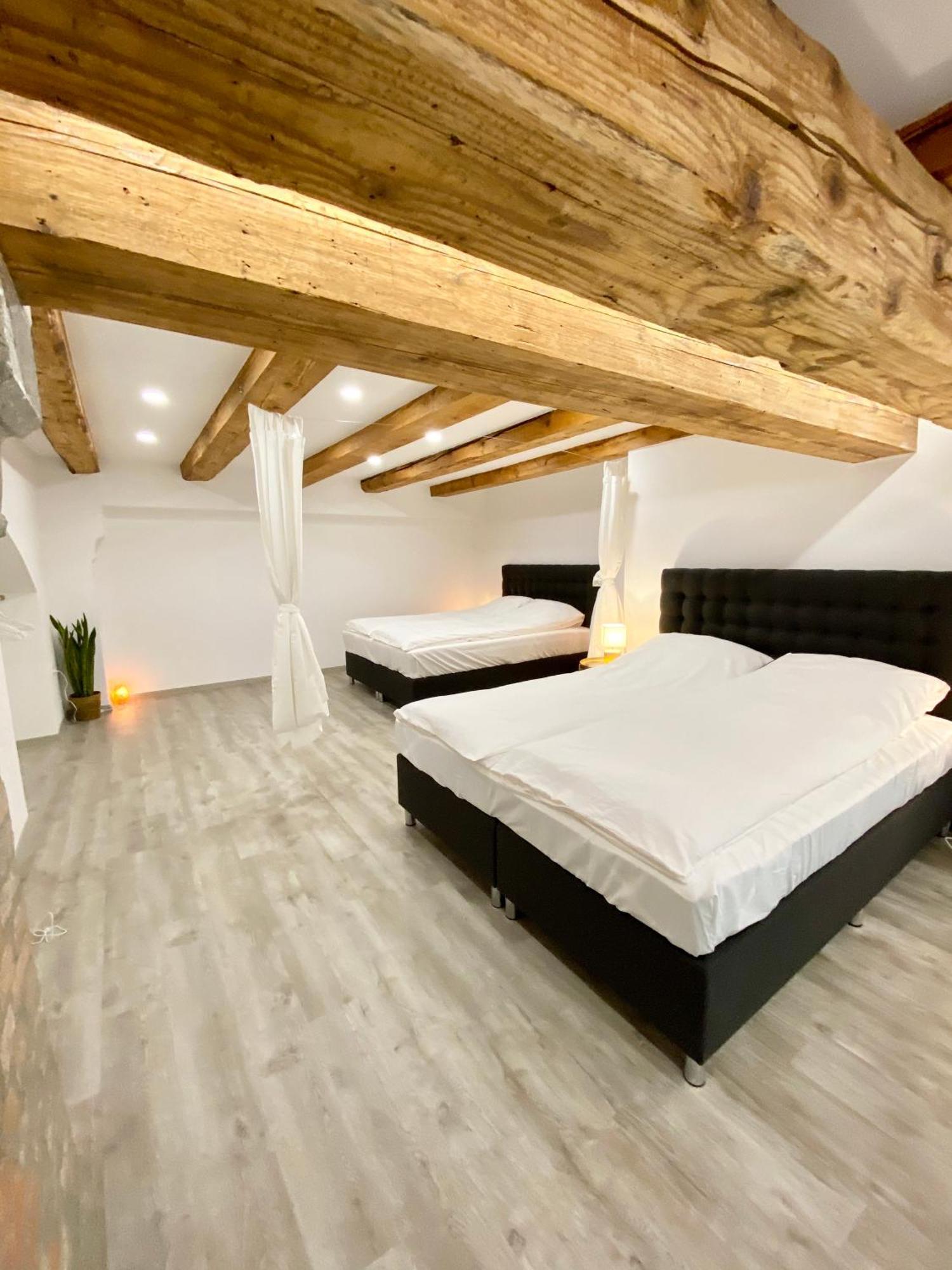 Jungle Loft - Central/Free Parking Ljubljana Dış mekan fotoğraf